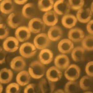 �������ʹ���-��Ӫ��ȫ,����һ·�ɳ�